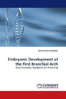 Immagine prodotto Embryonic Development of the First Branchial Arch (Joanna Andryszkiewicz, 2010)