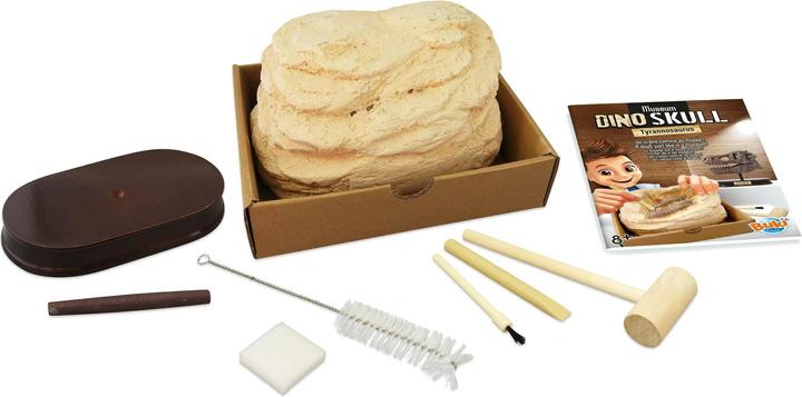 Immagine prodotto Buki Kit per l'esperimento del cranio di dinosauro - Tyrannosaurus