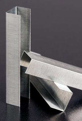 Immagine prodotto Rapid Standard (1000 x)