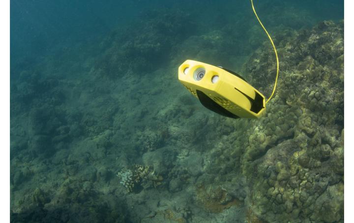Image du produit Chasing Dory