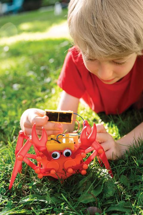 Actual product image 4M Set Hybrid Crabot
