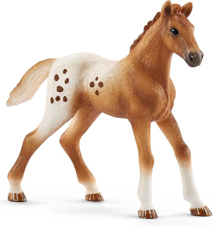 Image du produit Schleich Horse Club Lisas Entraînement à la compétition
