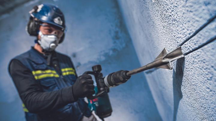 Actual product image Bosch Professional Zubehör PRO SDS plus Winged Gouging, 22 x 250 mm (22 mm)