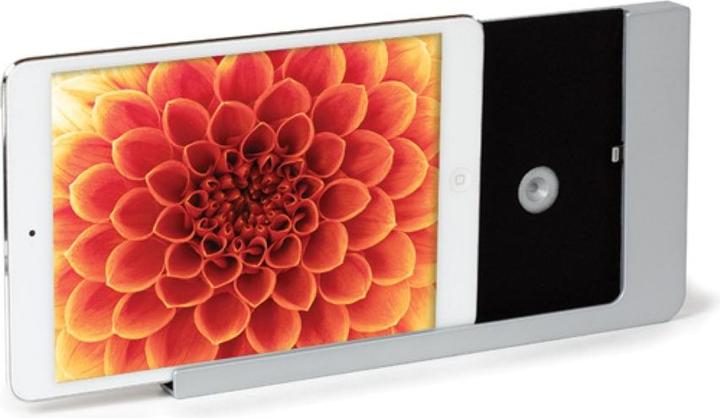 Actual product image Viveroo Premium-Wandhalterung - f?r iPad? Mini 4&5 - Super Silver (Silber)