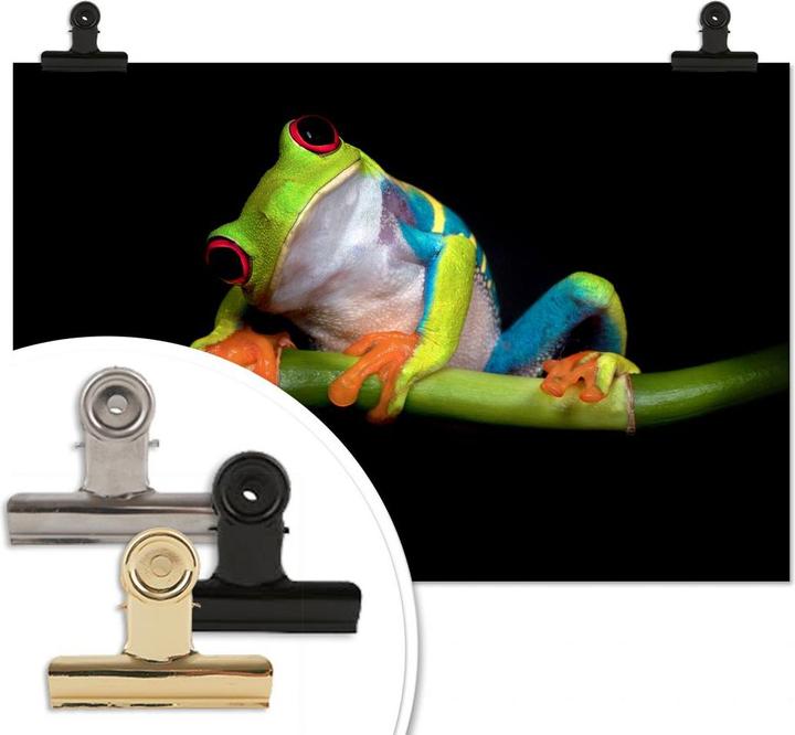 Produktbild Trenddeko Valverde - Green Frog (120 x 80 cm)