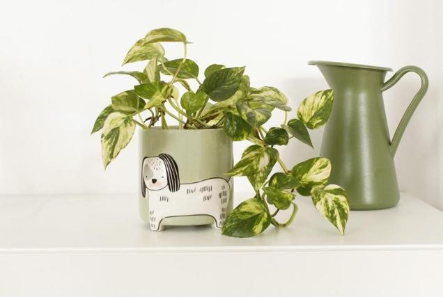 Immagine prodotto Winkee Animale vaso di fiori cane (14 cm)