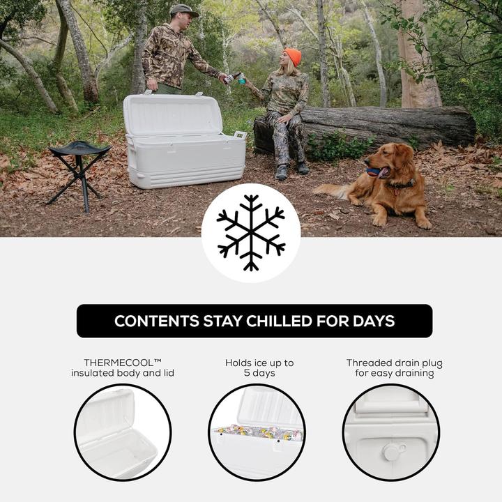 Image du produit Igloo Glacière Polar 120 (113 l)
