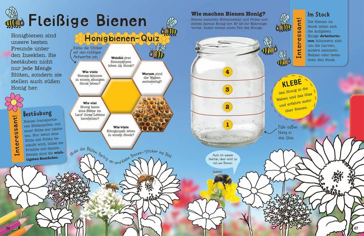 Image du produit Le livre de coloriage Mach Insectes