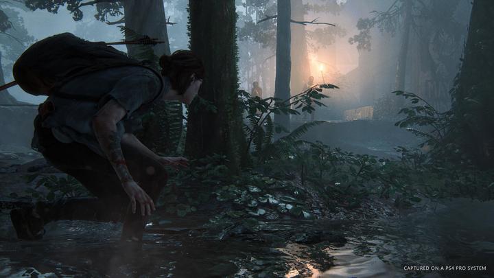 Immagine prodotto Sony The Last of Us Part II Edizione Standard (EN/RU) PS4 (PS4, DE)
