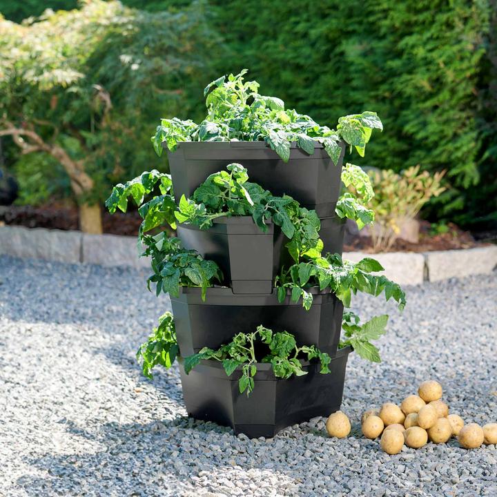 Image du produit Romberg Tour de plantation et de pommes de terre avec fonction anti-goutte - Pyramide de plantation de 54L
