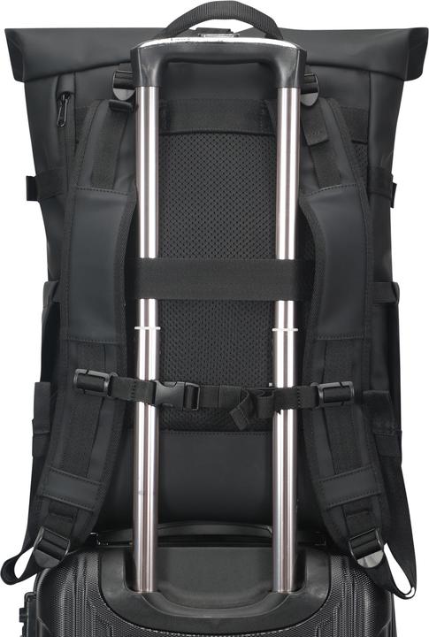 Actual product image Johnny Urban Harvey (21 l)