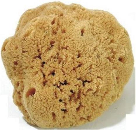 Actual product image NoName Blackboard sponge classic