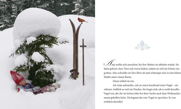 Actual product image Ein wunderbarer Weihnachtswunsch Mini (German, Tanya Stewner, 2018)