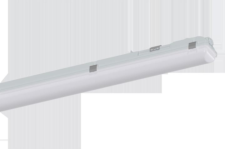 Actual product image Schuch 167 15L100G2 FROM (70900 lm)