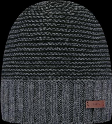 Actual product image Barts David Beanie (One size)
