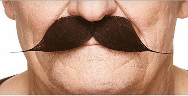 Actual product image Metamorph Englischer Moustache