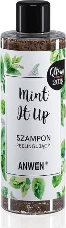 Actual product image Anwen Mint It Up Hair Scrub Shampoo (200 ml, Liquid shampoo)