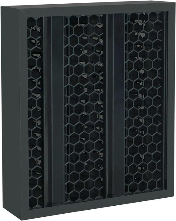 Produktbild Ideal Health Luftreiniger Filter zu AP100 (1 x)