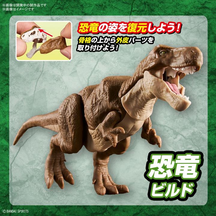 Actual product image Bandai DINOSAUR - New Dinosaur Plastic Tyrannosaurus (Tentative) - Model Kit