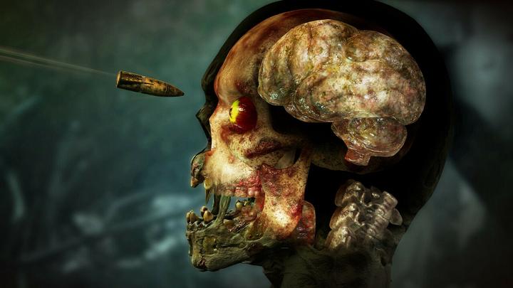 Immagine prodotto Zombie Army 4: Dead War (Xbox One X, Xbox Series X, DE)
