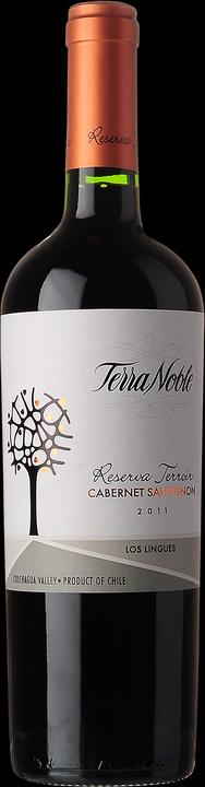 Actual product image Viñedos Terranoble Cabernet Sauvignon Reserva Terroir Los Lingues (1 x 75 cl, 2017)