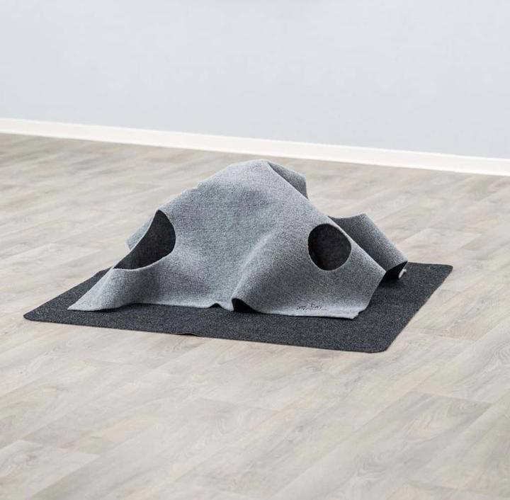 Produktbild Trixie Adventure Carpet (Katzenminzespielzeug)