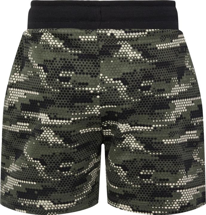 Actual product image hummel Hmlfsk Go Shorts (146)