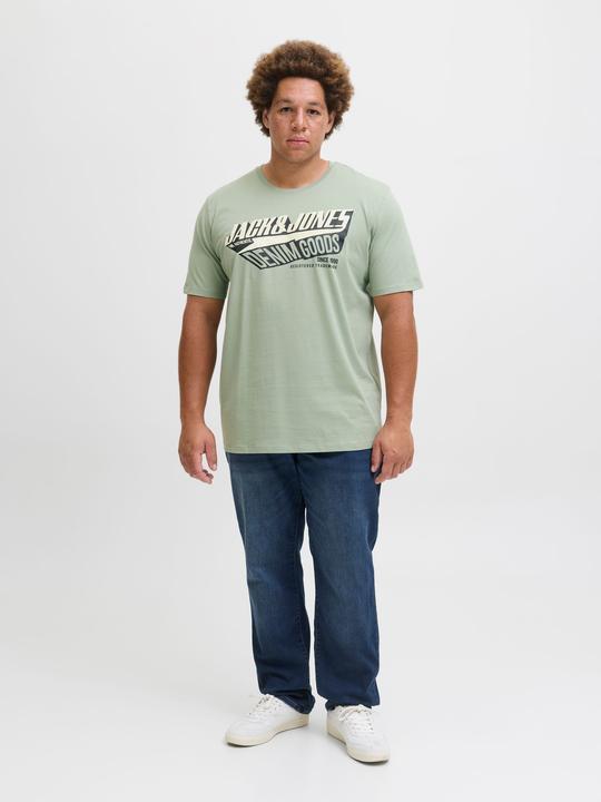 Actual product image Jack & Jones Jjelogo Tee Ss Oneck 2 Col Aw25 Noos Pls (6XL)