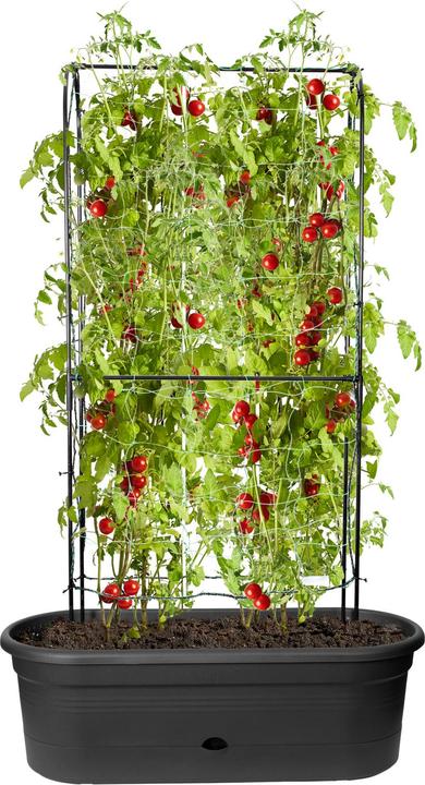 Actual product image Elho Green Basics (78 cm)
