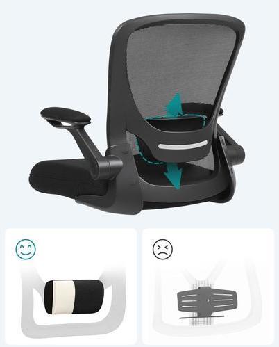 Actual product image Songmics Home Office