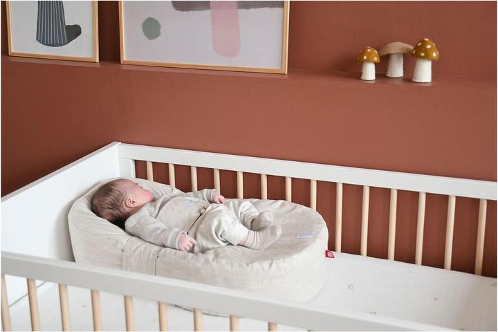 Image du produit Beaba Cocoonababy