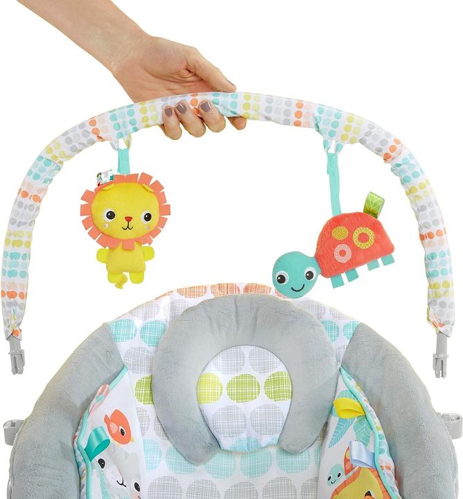 Image du produit Bright Starts Transat vibrant pour bébé, Whimsical Wild