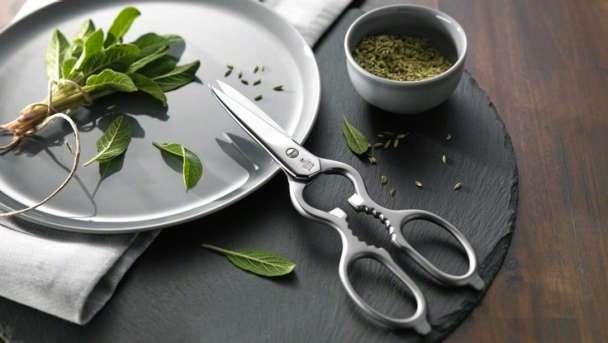 Produktbild Zwilling VielzWeckschere (20 cm)