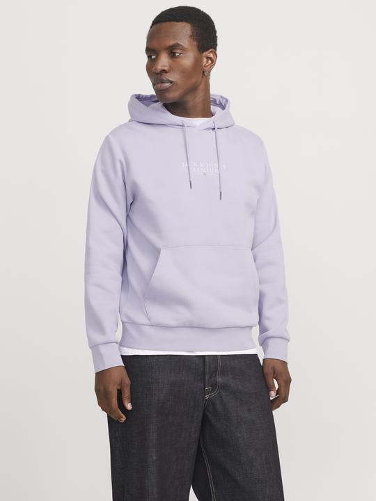 Produktbild Jack & Jones Logo Kapuzenpullover Kapuzenpullover (L)