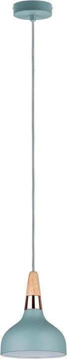 Image du produit Paulmann Neordic Juna (E14)