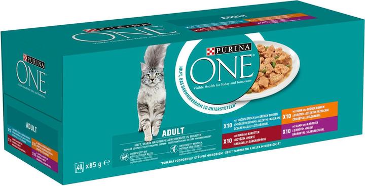 Purina ONE Adult (Adult, 40 Stk., 3400 g)