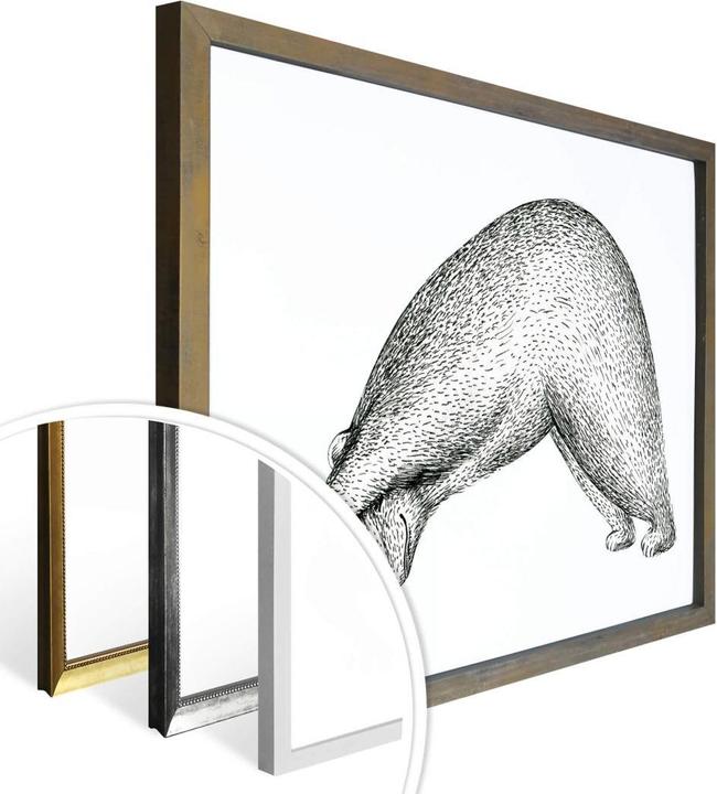 Produktbild Trenddeko Yoga Bär 01 (80 x 60 cm)
