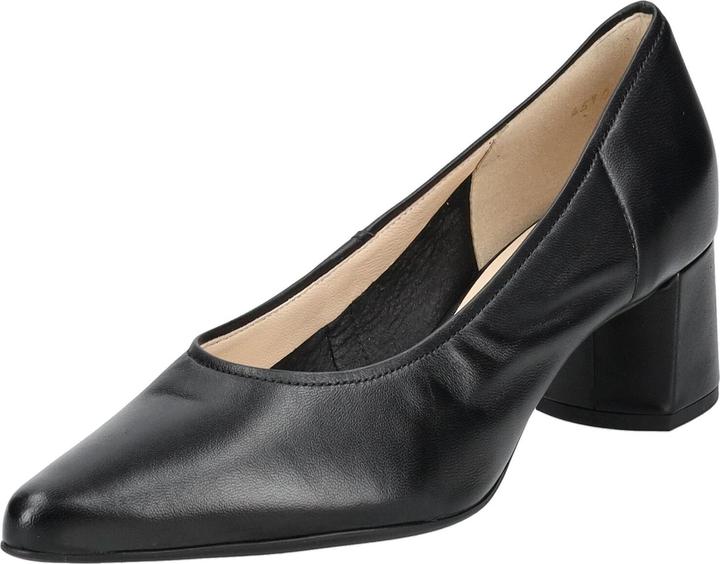 Högl Pumps (39)