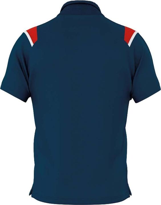 Actual product image Errea Polo Luis Ad (XXL)