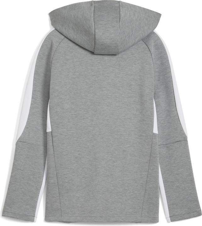 Image du produit Puma teamEVOSTRIPE Veste à capuche Jr (128)