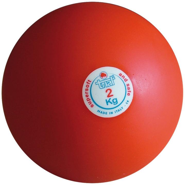 Immagine prodotto Trial Palla paracolpi per interni, 2 kg (2000 g)