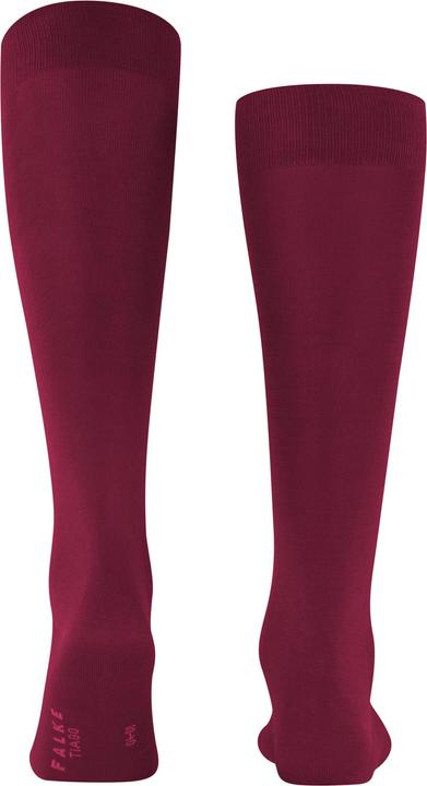 Actual product image Falke Tiago (Single pack, 41 - 42)