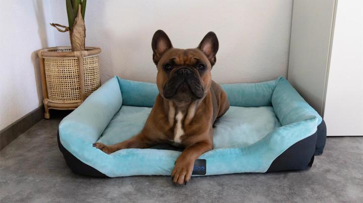 Actual product image Aspero Hanko and Lund Dog Bed and Blanket (Dog)
