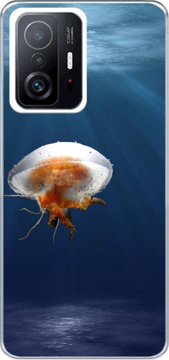 Jellyfish