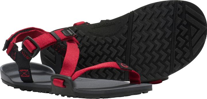 Actual product image Xero Shoes Z-Trail (34)