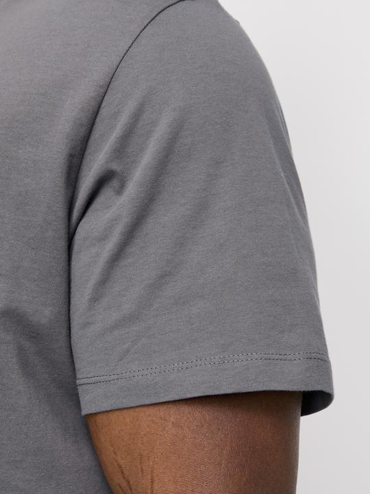 Actual product image Jack & Jones Jjelogo Tee Ss O-Neck 2 Col Aw24 S Pls (XXL)