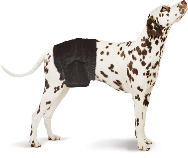 Swisspet Male diapers (Dog)