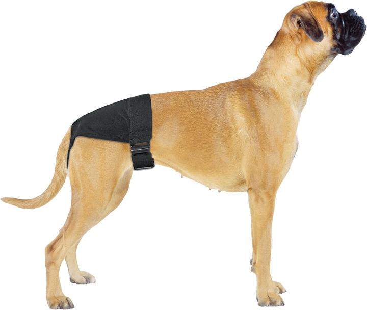 Produktbild Swisspet Hundeschutzhose CLEANIES Gr. 2 (Hund)