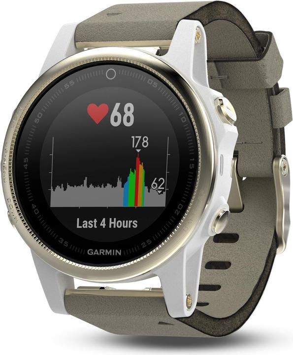 Actual product image Garmin fenix 5S Sapphire Edition (42 mm)