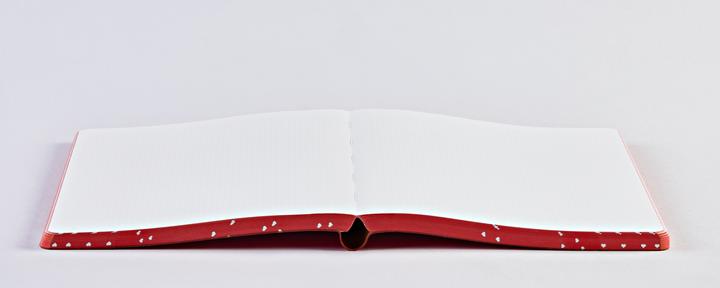Image du produit Nuuna Carnet de notes (L, 165 x 220 mm)